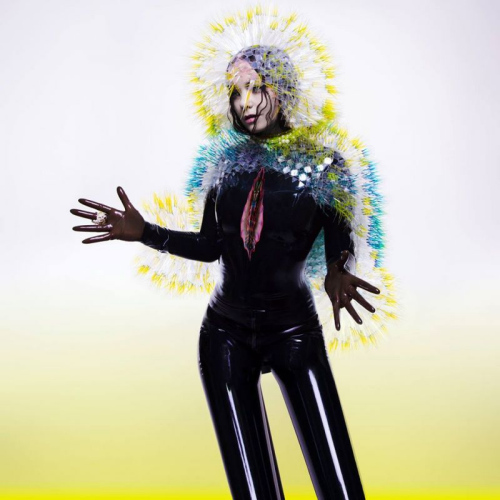 BJORK - VULNICURABJORK - VULNICURA.jpg